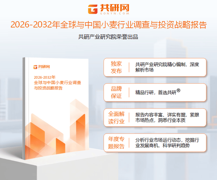 2026年中国小麦市场现状分析：从“产量导向”向“质量效益导